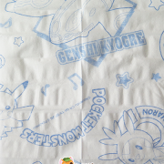 Pokemon Pocket Tissues (Detail)